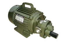 Mono Block Rotary Gear Pump (FTMB) in Delhi