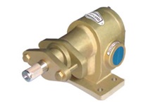 Bronze Gear Pump (FTGM) in Delhi