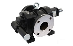 Rotary Twin Gear Pump (FTRN/FTRB/FTRX) in Delhi