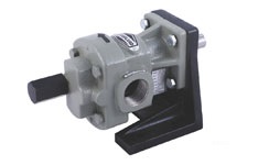 Oil Gear Pump (FTX) in Delhi