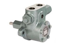 Fuel Injection Internal Gear Pump (FIG) in Delhi