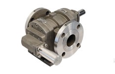 SS Rotary Twin Gear Pump (FTMS/FTM) in Delhi